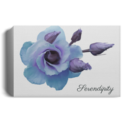 Serendipity Canvas 1.5in Frame